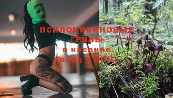дурь Дмитриев