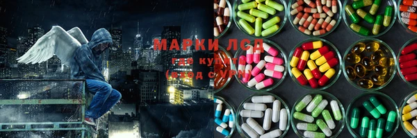 тгк Беломорск