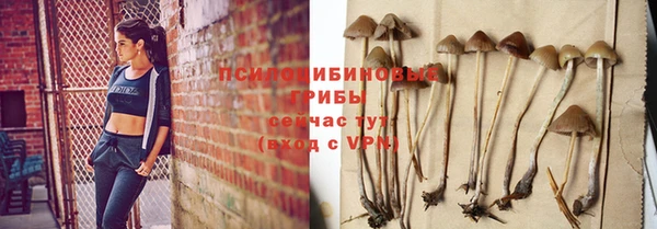 прущая мука Белокуриха