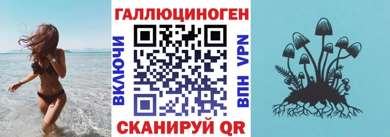 где найти   Павловск  дарк нет состав  Псилоцибиновые грибы Magic Shrooms 